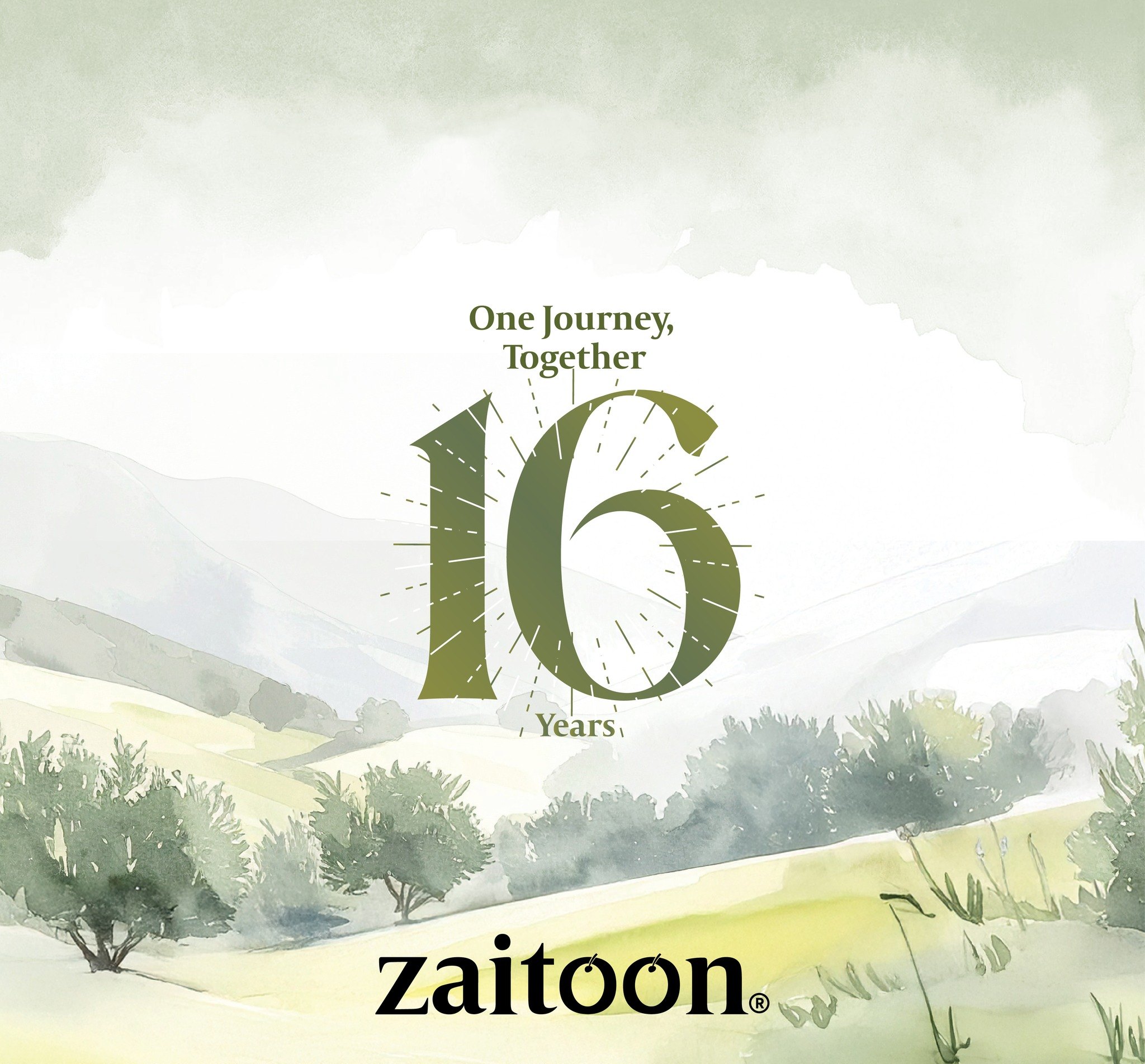 Zaitoon's watercolor olive grove — 'One Journey, Together. 16 Years' — the brand's anniversary artwork